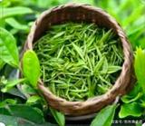 中国的茶文化——蕴涵自然之道